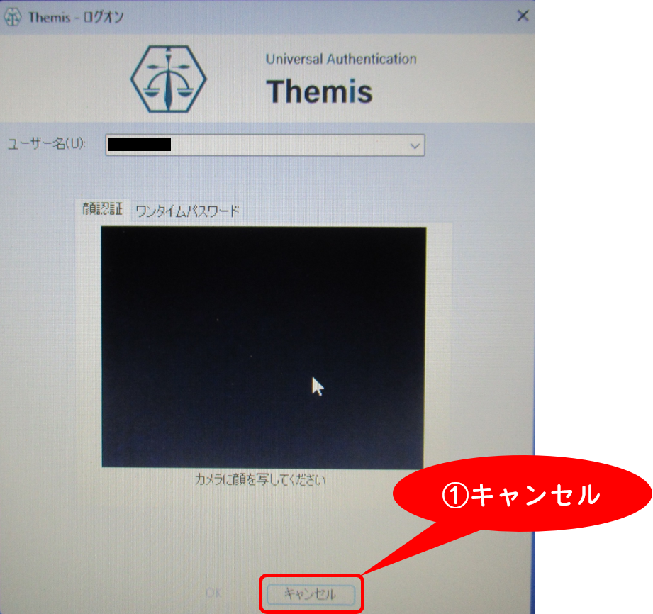 themis1.png