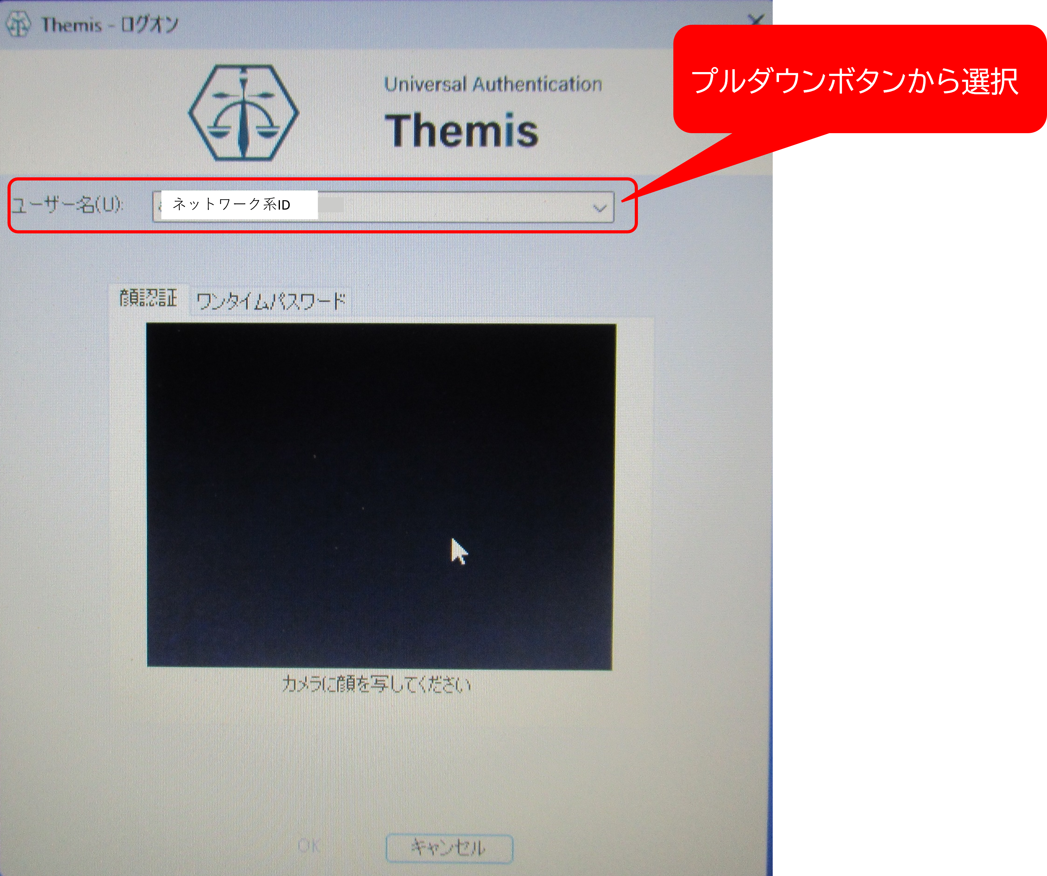 themis_id.png