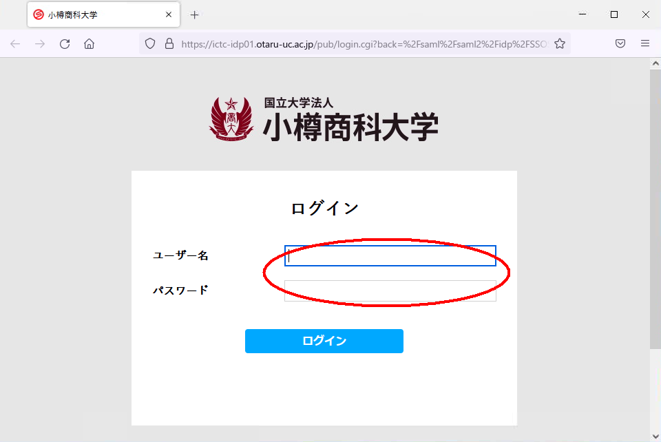 login_sso.png